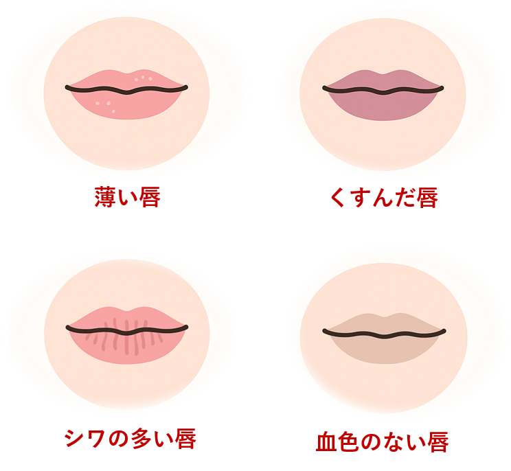 MuseFill Lipがおすすめの対象